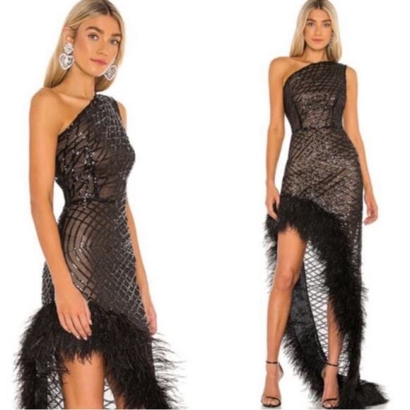 Bronx and banco Dresses & Skirts - Bronx and Banco Lola Sheer Feather Gown in Black